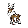 Sawsbuck (Winter)